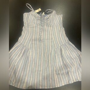 Striped Blue and Pink Aerie Dress